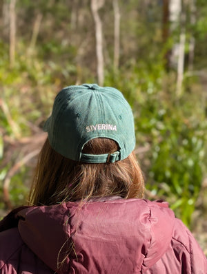 Bull Banksia Dad Cap