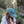 Bull Banksia Dad Cap