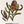 Firewood Banksia Tee