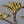Yellow Kangaroo Paw Tee