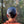 Scarlet Banksia Dad Cap
