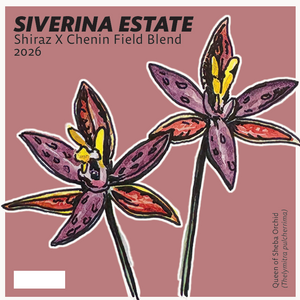 26' Shiraz X Chenin Field Blend
