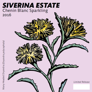 16’ Chenin Sparkling